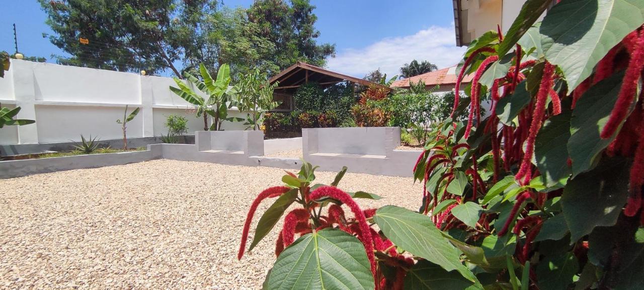 Garden Pearls Hotel Nungwi Ngoại thất bức ảnh