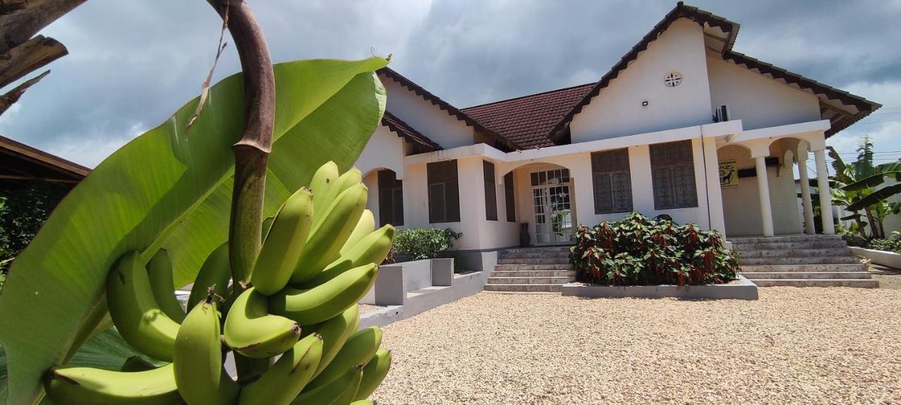 Garden Pearls Hotel Nungwi Ngoại thất bức ảnh