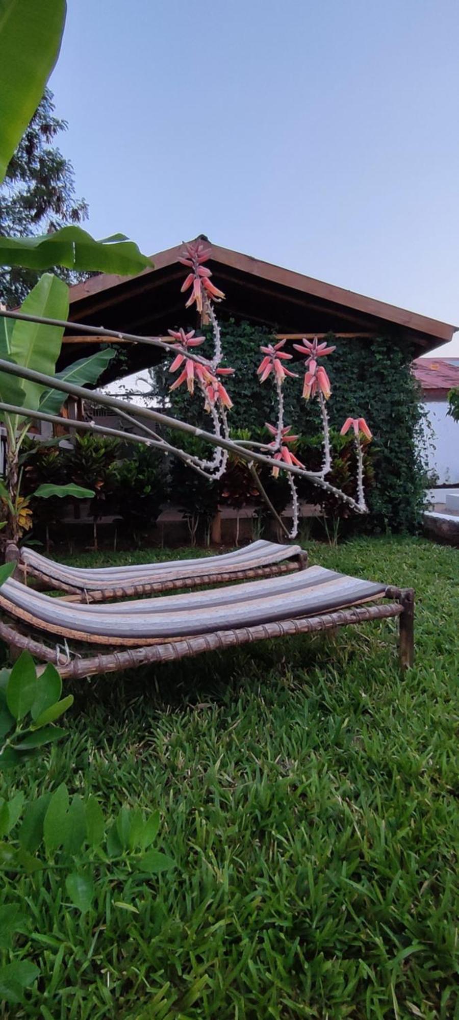 Garden Pearls Hotel Nungwi Ngoại thất bức ảnh